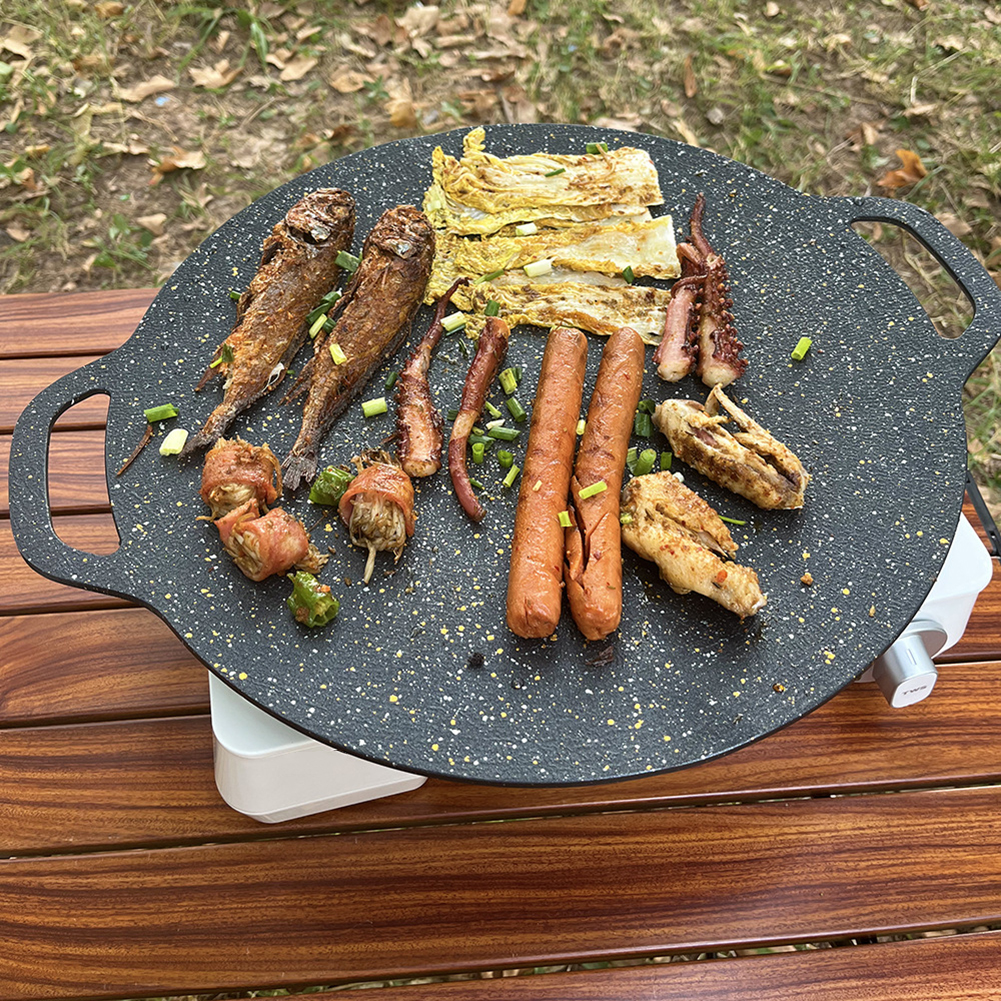 Grilling Pan Non-stick Baking  - Camping Cooking Range avis et prix