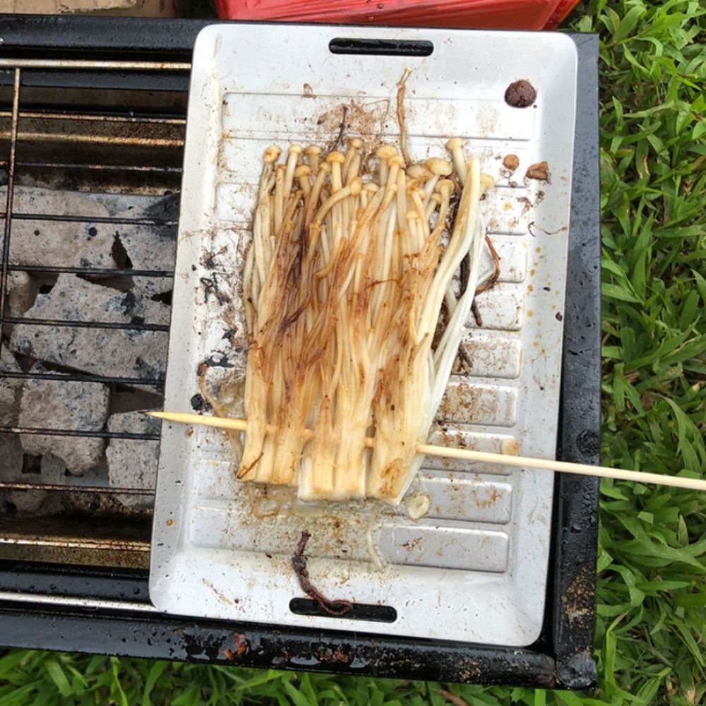 Durable Titanium Camping Grill - Camping Hiking Cooking avis et prix