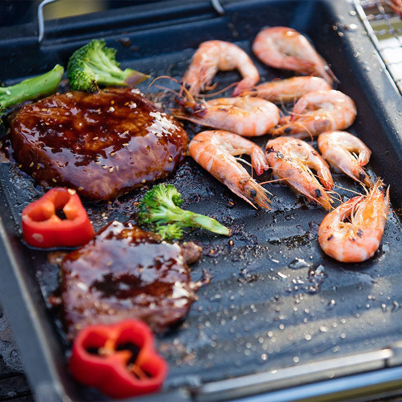 Outdoors Thick Square Grill Pa - Camping Hiking Cooking avis et prix